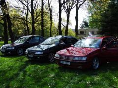 sec_2008_minimaxa_219.jpg