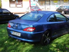 sec_2008_minimaxa_246.jpg
