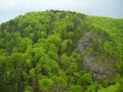 sec_2008_pata_027.jpg