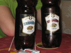 sec_2008_pe_tr_025.jpg