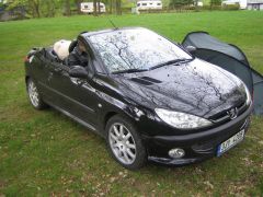 sec_2008_pe_tr_100.jpg