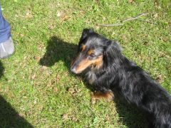 sec_2008_pe_tr_236.jpg