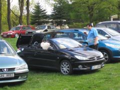 sec_2008_pe_tr_241.jpg