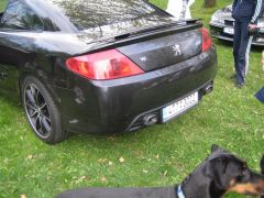 sec_2008_pe_tr_257.jpg