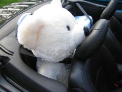 sec_2008_pe_tr_300.jpg