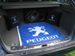 sec_2008_pe_tr_304.jpg