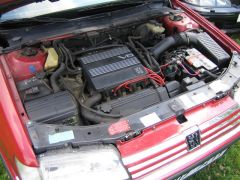 sec_2008_pe_tr_313.jpg