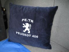 sec_2008_pe_tr_317.jpg