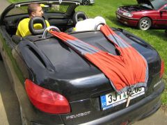 sec_2008_pe_tr_318.jpg