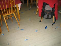 sec_2008_pe_tr_368.jpg