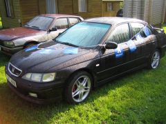 sec_2008_pe_tr_372.jpg
