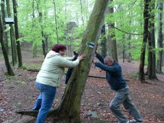 sec_2008_radek_hurvajz_207.jpg