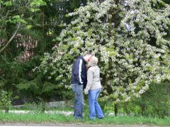 sec_2008_radek_hurvajz_218.jpg