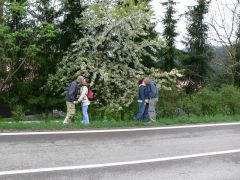 sec_2008_radek_hurvajz_219.jpg