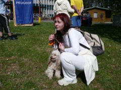 sec_2008_zipik_115.jpg