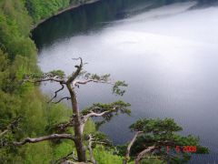 P-C_2008_Sec_010.JPG