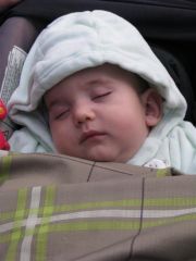 sebetov_2008_john_124.jpg