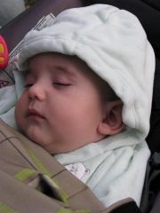 sebetov_2008_john_125.jpg