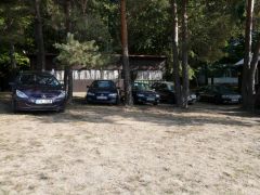 lancov_2008_are_046.jpg