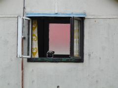lancov_2008_are_057.jpg