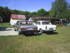 lancov_2008_marcel505_003.jpg