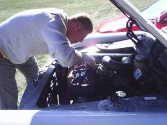 lancov_2008_marcel505_015.jpg