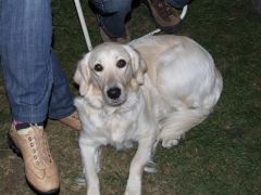 lancov_2008_minimaxa_013.jpg