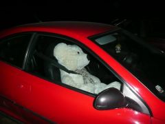 lancov_2008_pepito_010.jpg