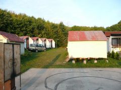 lancov_2008_pepito_014.jpg