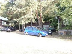 lancov_2008_pepito_044.jpg