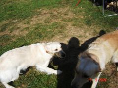 PC_2008_Vranov_ND_Scratch_030.JPG