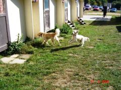 PC_2008_Vranov_ND_Scratch_031.JPG