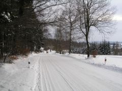 klouzani_2009_kobra_001.jpg