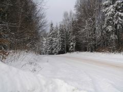 klouzani_2009_kobra_005.jpg