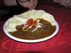 klouzani_2009_kobra_007.jpg