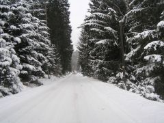 klouzani_2009_kobra_013.jpg