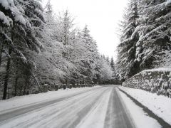 klouzani_2009_kobra_015.jpg