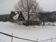 klouzani_2009_kobra_016.jpg