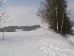 klouzani_2009_kobra_017.jpg