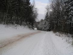 klouzani_2009_kobra_019.jpg