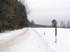 klouzani_2009_kobra_020.jpg