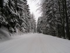 klouzani_2009_kobra_022.jpg