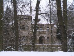 klouzani_2009_kobra_041.jpg