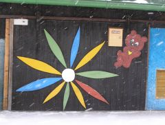 klouzani_2009_kobra_045.jpg