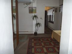 klouzani_2009_marcel505_001.jpg