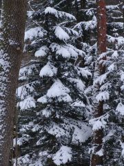 0002-DSC07251_Desktop_Resolution_.JPG