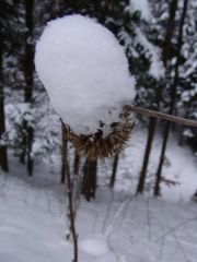 0009-DSC07268_Desktop_Resolution_.JPG
