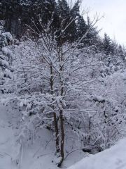 0011-DSC07270_Desktop_Resolution_.JPG