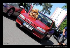 melnik_09__re_413.jpg