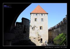 melnik_09__re_424.jpg